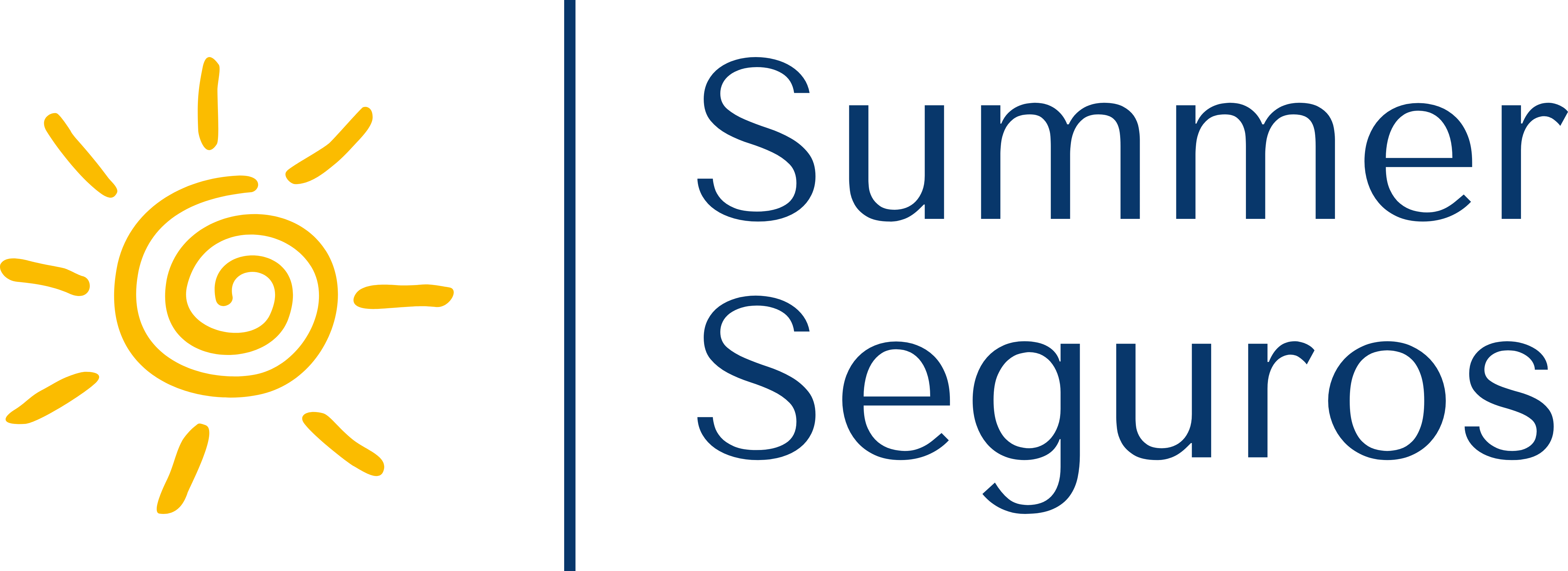 Summer Seguros
